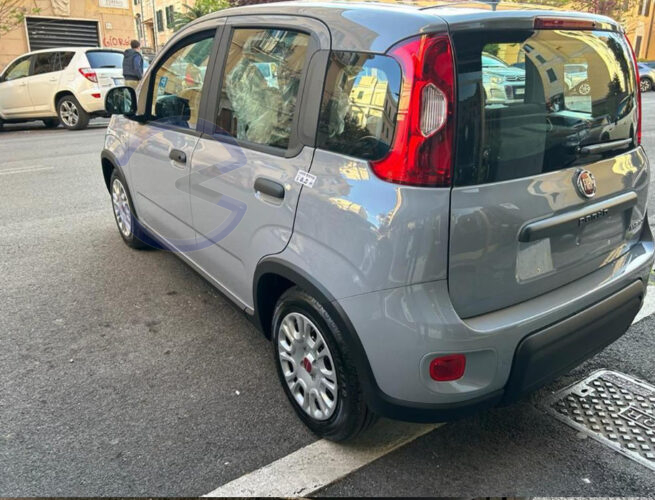 Annunci 4 Ruote FIAT PANDA HYBRID