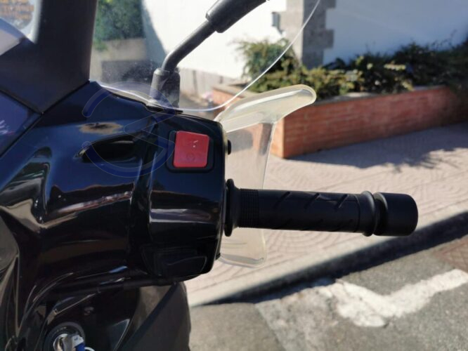 Annunci 2 Ruote HONDA SH 300