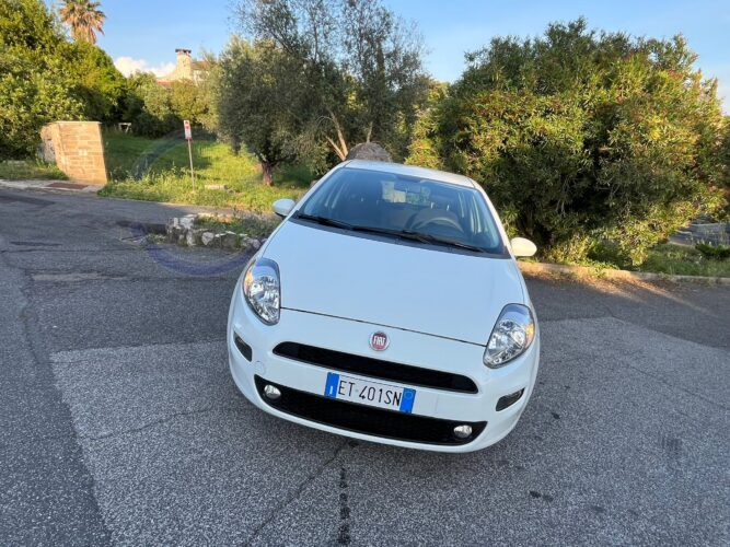 Annunci 4 Ruote FIAT PUNTO